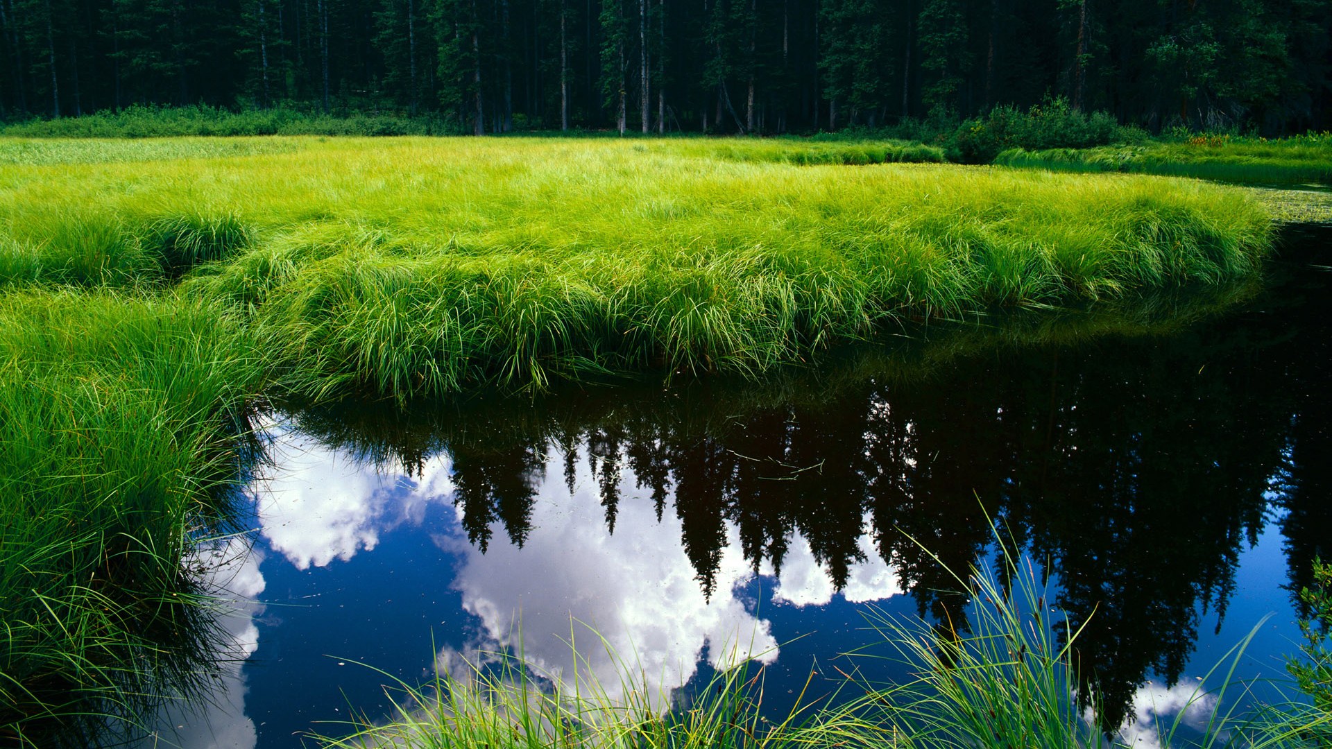 “火热赛场,明星球员的经典瞬间燃爆现场”,明星球员图片