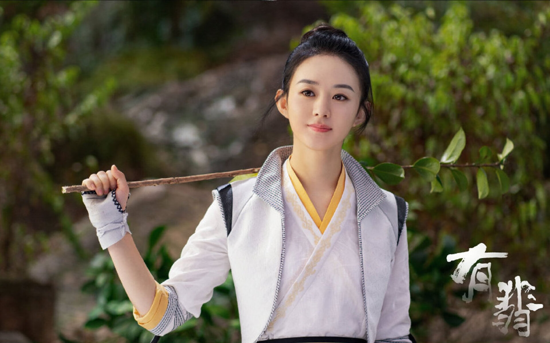 “法甲激烈角逐,豪门争夺荣誉”,德甲 豪门