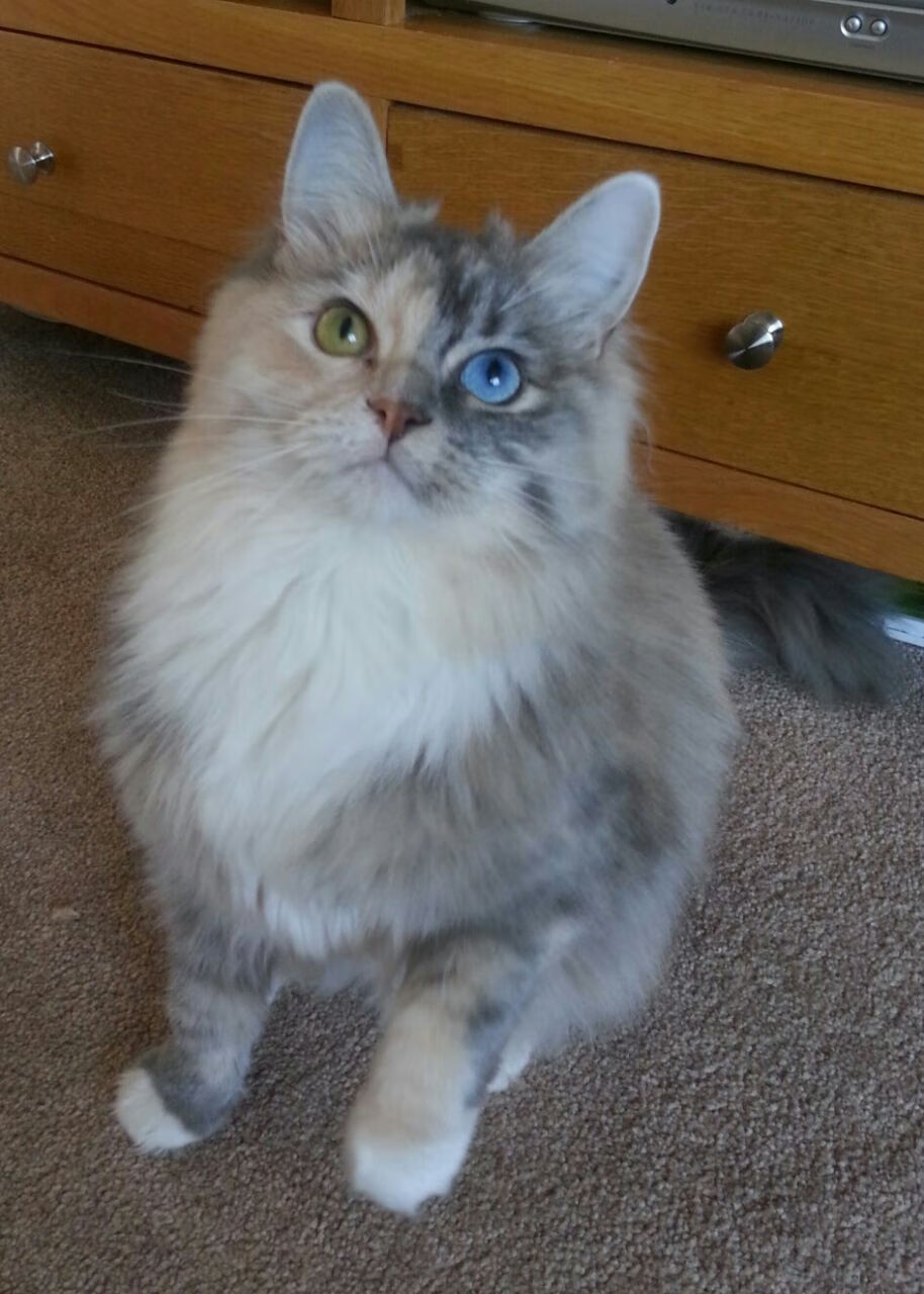 Kaiyun官方登录入口-德甲：奥格斯堡1-3败给门兴，场面激烈，精彩纷呈，奥格斯堡对门兴比分预测