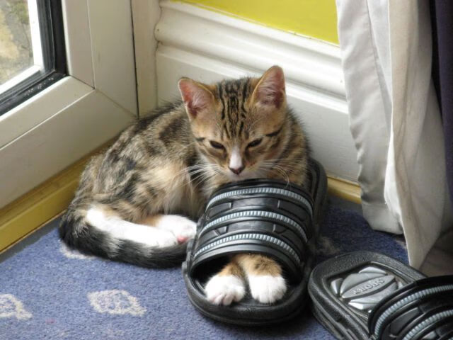 开云中国-普拉提课程与冥想结合，促进身心放松，普拉提冥想词