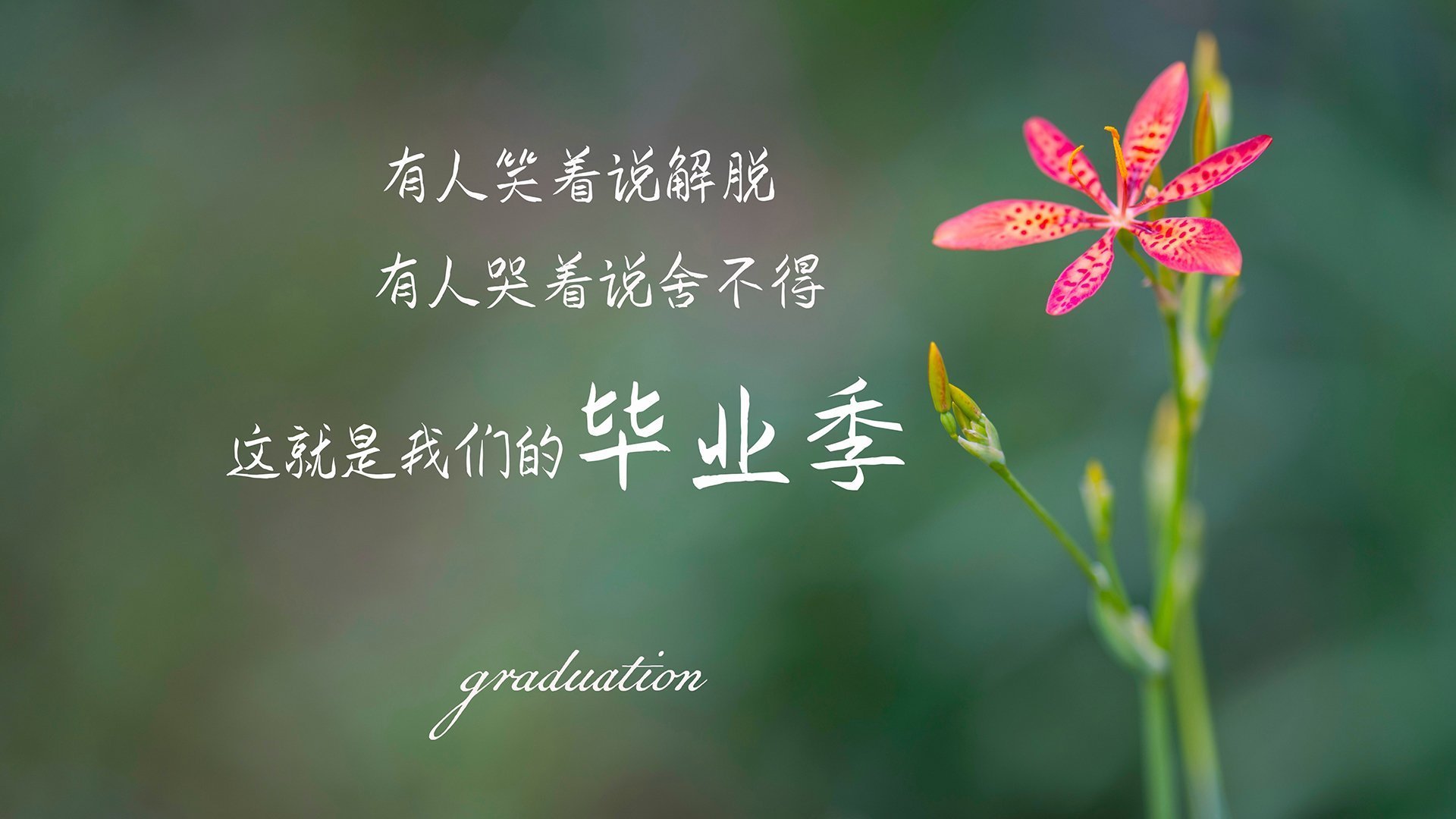 Kaiyun官方登录入口-欢庆赛季结束：年度嘉年华盛大开启，嘉年华系列赛进度