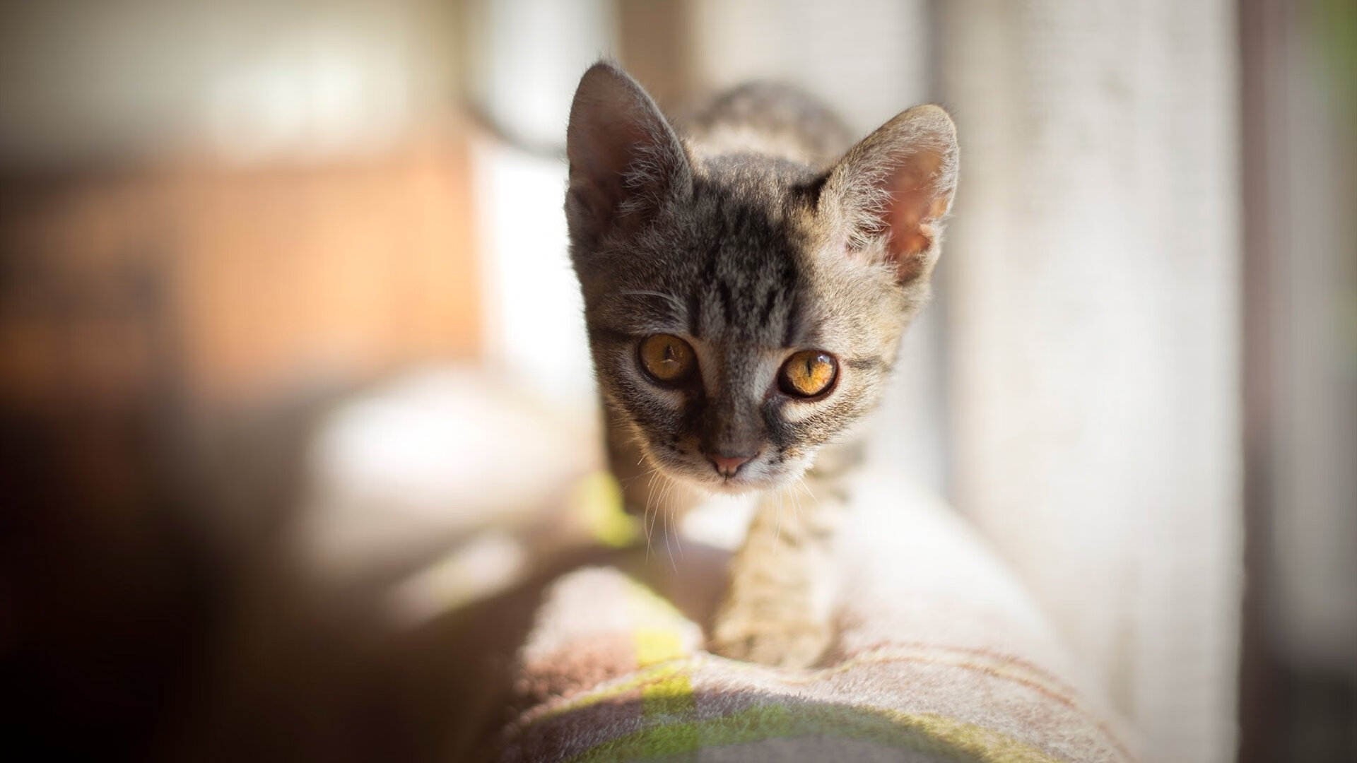 开云中国大陆-本轮最震撼：逆转绝杀的瞬间赛场大揭秘！，逆转胜率