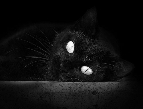 本轮最震撼:逆转绝杀的瞬间赛场大揭秘!,逆转胜率