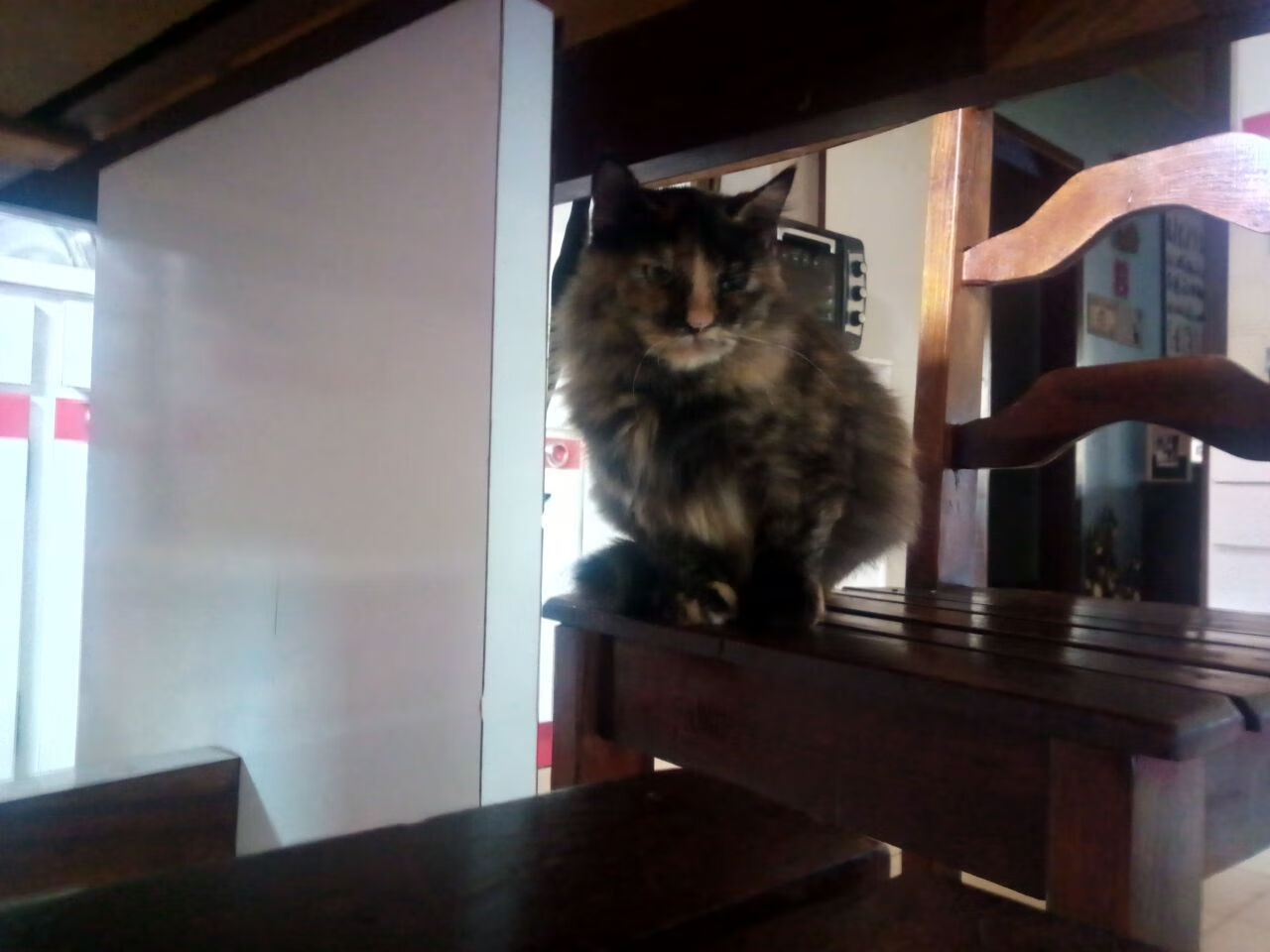 特色乡村趣味运动会,留住乡土的乡愁韵味,乡村运动会口号