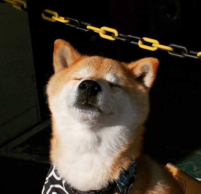 重要赛事背后:运营团队的秘密与故事,运营比赛