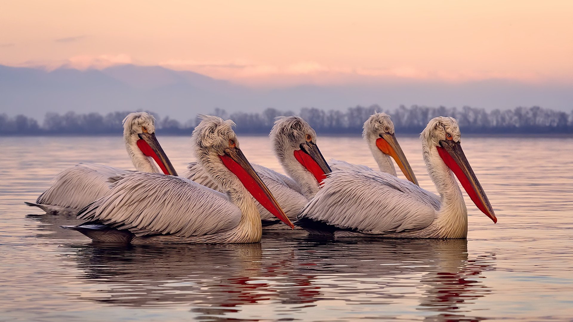 kaiyun开云·官方网站-IG战队正式引进营养师，助力科学饮食管理，ig青训营
