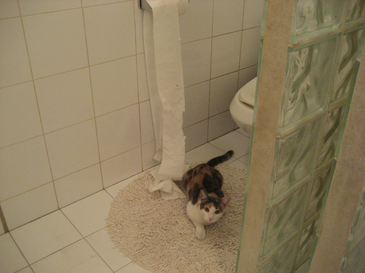 IG战队正式引进营养师，助力科学饮食管理，ig青训营