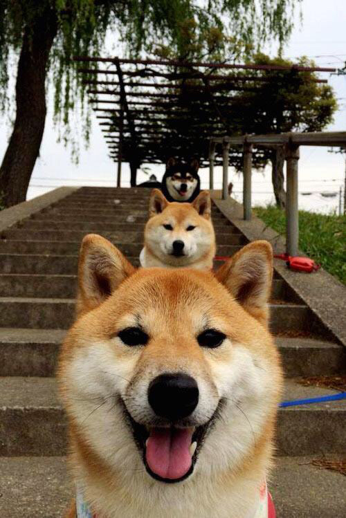 开云入口-《掘金替补席贡献有限，球队深度成疑》，掘金队薪资和选秀权情况