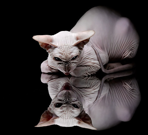 kaiyun.com-克罗地亚意大利激战无决，欧预赛积分悬殊，欧洲世预赛克罗地亚