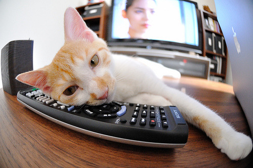 勒沃库森冲击联赛前四，勒沃库森是强队吗